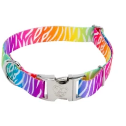 Country Brook Petz Premium Fashion Zebra Dog Collar -Pet Shop GUEST 770162b2 7323 49de a86a 664529901c5b