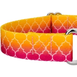 Country Brook Petz Martingale Dog Collar - Abstract Collection -Pet Shop GUEST 770efbaa 9b39 4d0d 9af7 3c662635f9da