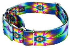 Country Brook Petz 1 1/2 Inch Tie Dye Flowers Martingale Dog Collar -Pet Shop GUEST 77c9888a fd57 4f3c abce c09fd8796516
