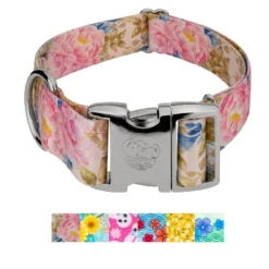 Country Brook Petz HossFit Jr Wide Premium Dog Collar - Spring Collection -Pet Shop GUEST 781f71e3 ce0a 410f 8994 4d9d5c5ae22d