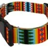Country Brook Petz 1 1/2 Inch Deluxe Summer Pines Dog Collar