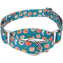 Country Brook Petz Peaches Martingale Dog Collar 13 Country Brook Petz Peaches Martingale Dog Collar -Pet Shop GUEST 78ef82a5 74a2 46f9 a9d3 07e6c57c52f9