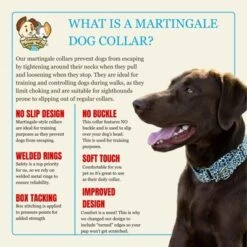 Country Brook Petz HossFit Jr Wide Martingale Dog Collar - Animal Print Collection 15 Country Brook Petz HossFit Jr Wide Martingale Dog Collar - Animal Print Collection -Pet Shop GUEST 790c6c8d 20d3 4f92 886f f3e33753801f