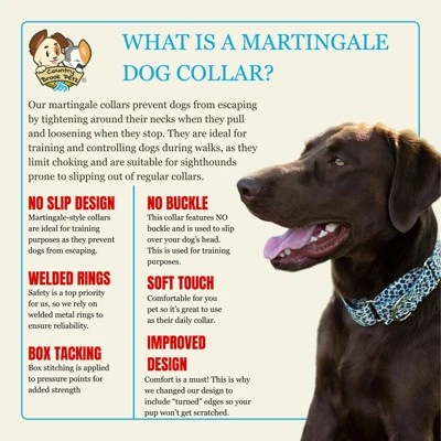 Country Brook Petz HossFit Jr Wide Martingale Dog Collar - Animal Print Collection 7 Country Brook Petz HossFit Jr Wide Martingale Dog Collar - Animal Print Collection - Image 5