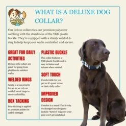 Country Brook Petz Deluxe Dog Collar - Christmas Collection - Made In The U.S.A. -Pet Shop GUEST 79b00f18 e172 419f 946d 447ae5eb4caf