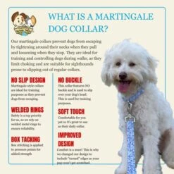 Country Brook Petz HossFit Jr Wide Martingale Dog Collar - Abstract Collection -Pet Shop GUEST 7aaaecff 4158 4e53 bd17 ea3f777c761c