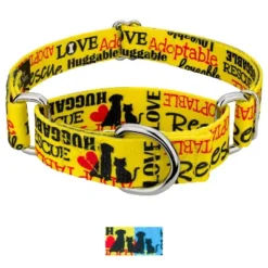 Country Brook Petz Martingale Dog Collar - Rescue Collections -Pet Shop GUEST 7af10cd1 101b 401b a17d ac54a1b7587f