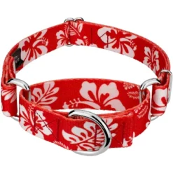 Country Brook Petz - Red Hawaiian Martingale Dog Collar -Pet Shop GUEST 7b11eb5d 33d6 40ec a208 e804deaf2b61