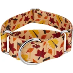 Country Brook Petz 1 1/2 Inch Fall Foliage Martingale Dog Collar -Pet Shop GUEST 7bab61b4 1ec3 4a4b aa63 58602692be32
