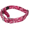 Country Brook Petz Pink Bone Camo Martingale Dog Collar -Pet Shop GUEST 7c260432 2a0a 4edb b3d6 d812a74bc828