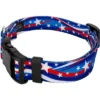 Country Brook Petz Star Spangled Deluxe Dog Collar And Leash 1 Country Brook Petz Star Spangled Deluxe Dog Collar And Leash -Pet Shop GUEST 7c5e0ceb 658c 4a7b bb2e 38dd9af25a86 1