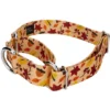 Country Brook Petz Fall Foliage Martingale Dog Collar And Leash -Pet Shop GUEST 7d13911a 2fc2 4c59 b7ca 9c9f6847c8ad