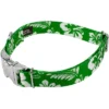 Country Brook Petz Premium Kelly Green Hawaiian Dog Collar