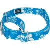 Country Brook Design - Blue Hawaiian Martingale Dog Collar