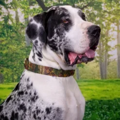 Country Brook Petz Southern Forest Camo Martingale Dog Collar 13 Country Brook Petz Southern Forest Camo Martingale Dog Collar -Pet Shop GUEST 7dbd2fc5 3e25 4471 a35f 0851544a1538