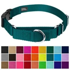 Country Brook Petz Durable Nylon Martingale With Deluxe Buckle - Made In The USA -Pet Shop GUEST 7dc2feef 6205 49c9 90e0 250f330bf953