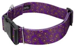 Country Brook Petz 1 1/2 Inch Deluxe Purple Paisley Dog Collar -Pet Shop GUEST 7dff76f1 b9a1 4bff 96af 89036989558b