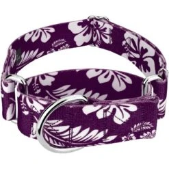 Country Brook Petz 1 1/2 Inch Purple Hawaiian Martingale Dog Collar -Pet Shop GUEST 7e494596 f795 43fc b9b2 8cc5569d8c59