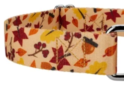 Country Brook Petz Fall Foliage Martingale Dog Collar -Pet Shop GUEST 7e608683 720f 47ea 976b 489ec504868a