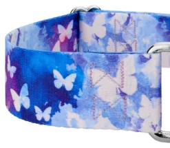 Country Brook Petz 1 1/2 Inch Watercolor Butterflies Martingale Dog Collar 9 Country Brook Petz 1 1/2 Inch Watercolor Butterflies Martingale Dog Collar -Pet Shop GUEST 7e7120de 5657 4c1b 80e0 e18fd438a8c4
