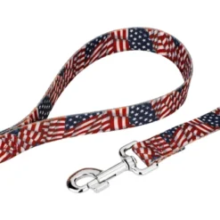 Country Brook Petz Patriotic Tribute Martingale Dog Collar And Leash -Pet Shop GUEST 8029c214 67c0 4925 8e67 17407ff9cf22