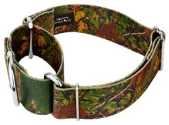 Country Brook Petz 1 1/2 Inch Southern Forest Camo Martingale Dog Collar 12 Country Brook Petz 1 1/2 Inch Southern Forest Camo Martingale Dog Collar -Pet Shop GUEST 80f41ee3 b1eb 4cb3 bb88 f7ad25917588