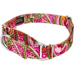 Country Brook Petz Pink Paisley Martingale Dog Collar And Leash 19 Country Brook Petz Pink Paisley Martingale Dog Collar And Leash -Pet Shop GUEST 817e5ed5 586e 498b a2ae f0b4766d48b2