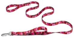 Country Brook Petz Romantic Hearts Deluxe Reflective Dog Leash 9 Country Brook Petz Romantic Hearts Deluxe Reflective Dog Leash -Pet Shop GUEST 81929a1a 26fd 42c1 80a2 76df6766b293