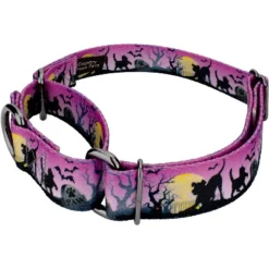 Country Brook Petz Graveyard Gunmetal Martingale Dog Collar (1 Inch, Extra Large)