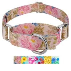 Country Brook Petz Martingale Dog Collar - Spring Collection 11 Country Brook Petz Martingale Dog Collar - Spring Collection -Pet Shop GUEST 82b61599 7e84 4334 96bb ac1b8be5d189