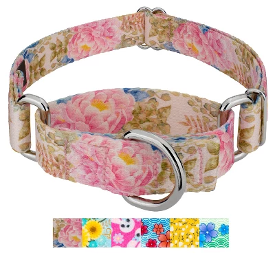 Country Brook Petz Martingale Dog Collar - Spring Collection 7 Country Brook Petz Martingale Dog Collar - Spring Collection - Image 5
