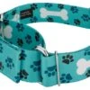 Country Brook Petz 1 1/2 Inch Oh My Dog Martingale Dog Collar 1 Country Brook Petz 1 1/2 Inch Oh My Dog Martingale Dog Collar -Pet Shop GUEST 82fc75c0 5b8d 4cae 8318 6ceedb27911b