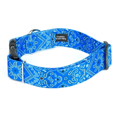 Country Brook Petz HossFit Jr Wide Deluxe Dog Collar - Country And Western Collection 4 Country Brook Petz HossFit Jr Wide Deluxe Dog Collar - Country And Western Collection - Image 2