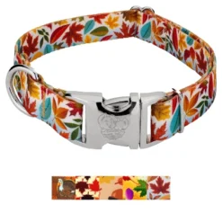 Country Brook Petz Premium Dog Collar - Awesome Autumn Collection -Pet Shop GUEST 83875dc0 29d8 4f03 ba1f 412fd79ba22e