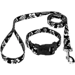 Country Brook Petz Black Hawaiian Deluxe Dog Collar And Leash -Pet Shop GUEST 83a2fb82 c0ed 47eb 91a0 ccf3ae7ca607