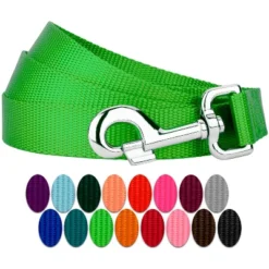 Country Brook Petz 6ft By 3/4 Inch Heavyduty Doublehandle Nylon Leash -Pet Shop GUEST 83edb08e 0816 419c a78b 15e88373fb89 1