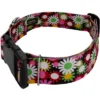 Country Brook Petz HossFit Jr Wide Deluxe Dog Collar - Floral Collection -Pet Shop GUEST 84128d82 f97c 42c3 a4bc 3b51710bc25d