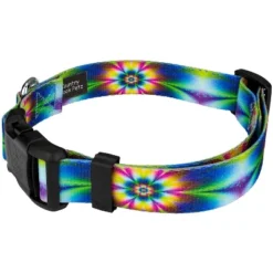 Country Brook Petz Tie Dye Flowers Deluxe Dog Collar And Leash -Pet Shop GUEST 84390a13 15c3 444d 8b84 e3ca6ed9d959