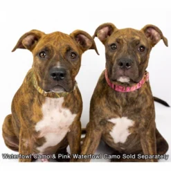 Country Brook Petz Premium Pink Waterfowl Camo Dog Collar