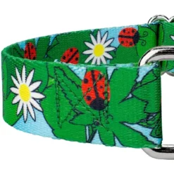 Country Brook Petz - Ladybug Picnic Martingale Dog Collar -Pet Shop GUEST 8503c921 744f 42ba bfcd e6e19f4a343b