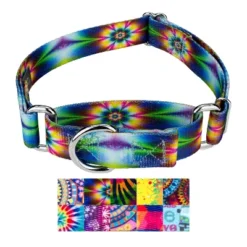Country Brook Petz Martingale Dog Collar - Groovy Collection -Pet Shop GUEST 850e2c87 68a7 4454 b2b0 ac553217a4e7