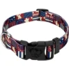 Country Brook Petz Deluxe Spirit Of '76 Dog Collar - Made In The U.S.A. (1/2 Inch, Extra Small) -Pet Shop GUEST 855c8abd 4573 4eed bc2a cf861549e36d