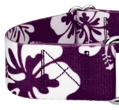Country Brook Petz 1 1/2 Inch Purple Hawaiian Martingale Dog Collar -Pet Shop GUEST 86ae3e04 a372 4447 8f66 37893e0e3057