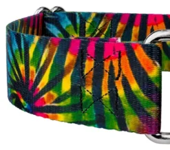 Country Brook Petz 1 1/2 Inch Tie Dye Stripes Martingale Dog Collar 15 Country Brook Petz 1 1/2 Inch Tie Dye Stripes Martingale Dog Collar -Pet Shop GUEST 86eb5bc2 6a63 4870 bf95 c27de7b4866e