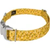 Country Brook Petz Premium Spring Cottagecore Dog Collar -Pet Shop GUEST 86f4c600 4c36 462b 9ecb b074c3e76081