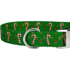 County Brook Petz Premium Dog Collar And Leash - Christmas Collection -Pet Shop GUEST 875e4a9b 691b 4e43 bb94 f8c4cefdd972