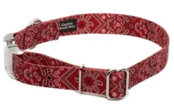 Country Brook Petz Premium Red Bandana Dog Collar 13 Country Brook Petz Premium Red Bandana Dog Collar -Pet Shop GUEST 8797082d 706c 4dcb a928 b1fbe31b3121