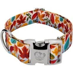 Country Brook Petz 1 1/2 Inch Premium Brisk Autumn Dog Collar -Pet Shop GUEST 87e2f0cf d32d 48e2 b69a fe52ec6147f2