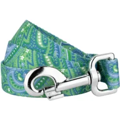 Country Brook Design® 1 Inch Green Paisley Leash - 6 Feet 11 Country Brook Design® 1 Inch Green Paisley Leash - 6 Feet -Pet Shop GUEST 87eaf7d3 1388 4f6a adc2 f0b18e507259