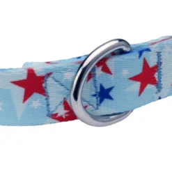 Country Brook Petz Deluxe American Celebration Dog Collar - Made In The U.S.A. (1 Inch, Medium) -Pet Shop GUEST 8802874f 911a 4934 ab24 f69a0a7fd076